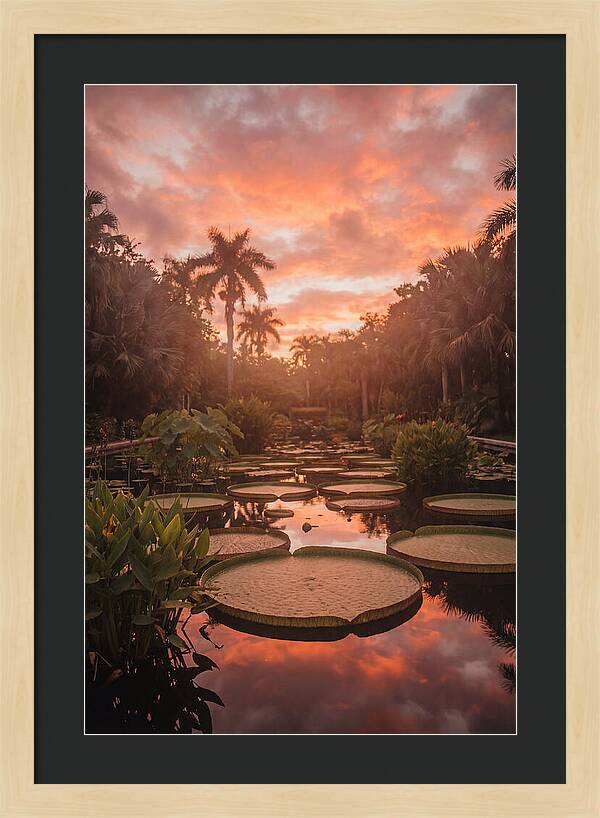Tropical Water Garden Serenity