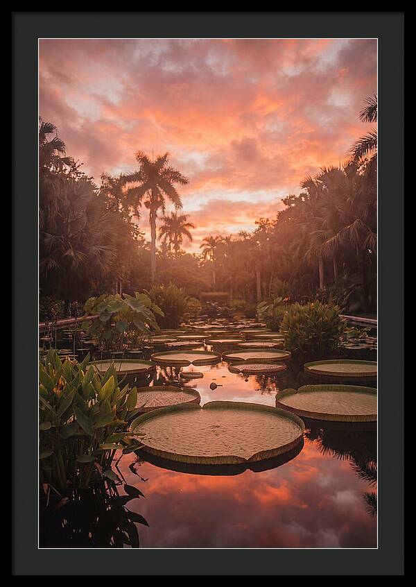 Tropical Water Garden Serenity