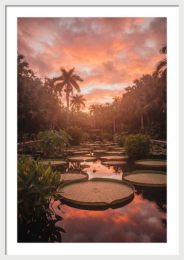 Tropical Water Garden Serenity