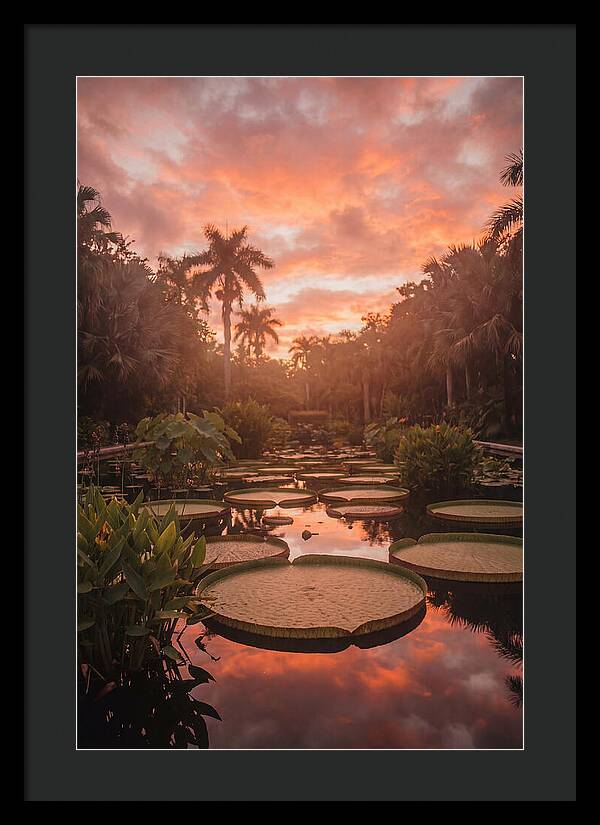 Tropical Water Garden Serenity