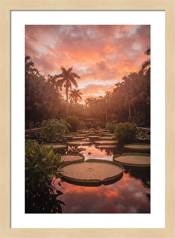 Tropical Water Garden Serenity