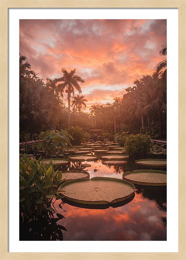 Tropical Water Garden Serenity