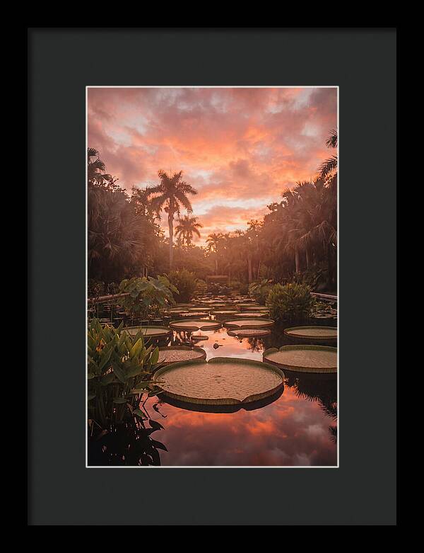 Tropical Water Garden Serenity