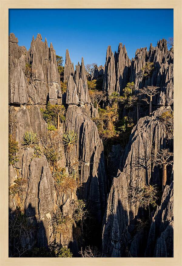 Tsingy De Bemaraha Pinnacles
