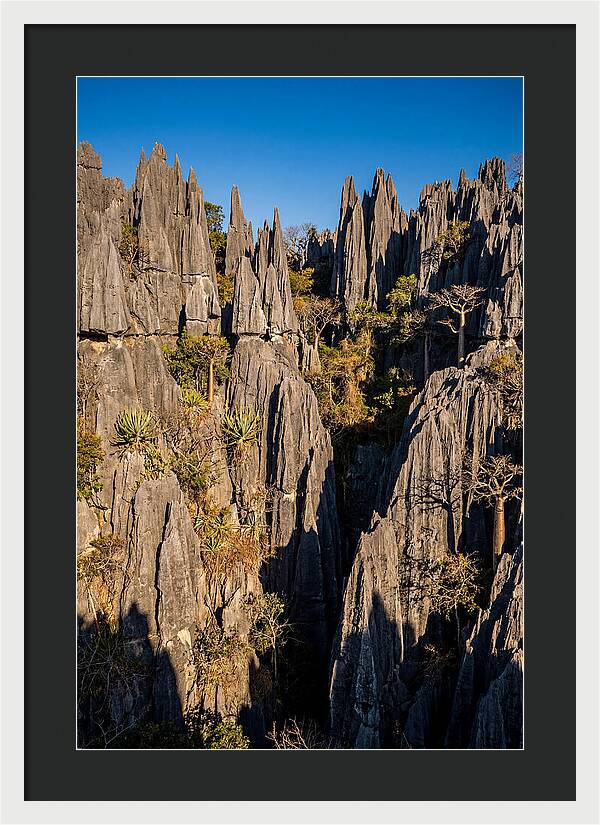 Tsingy De Bemaraha Pinnacles