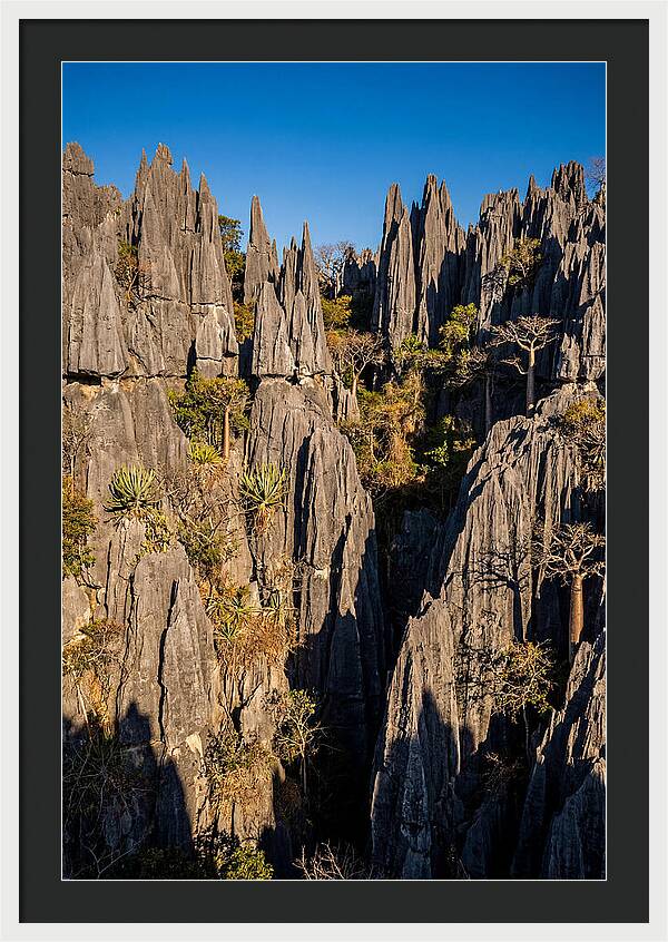 Tsingy De Bemaraha Pinnacles
