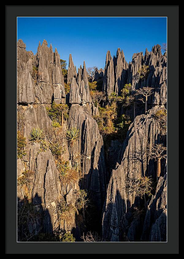 Tsingy De Bemaraha Pinnacles