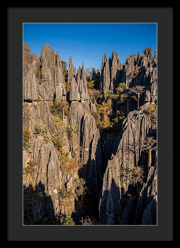 Tsingy De Bemaraha Pinnacles