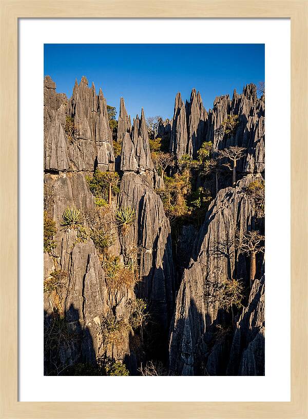 Tsingy De Bemaraha Pinnacles