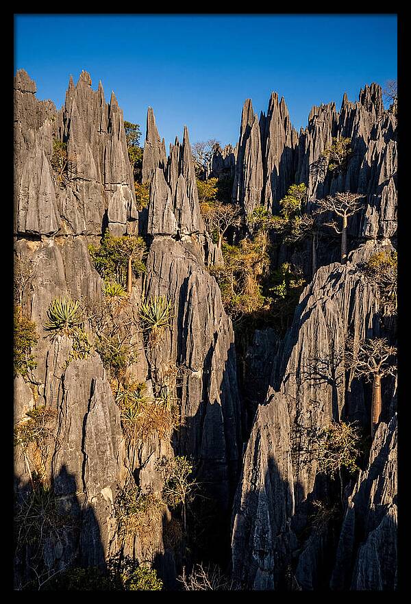 Tsingy De Bemaraha Pinnacles