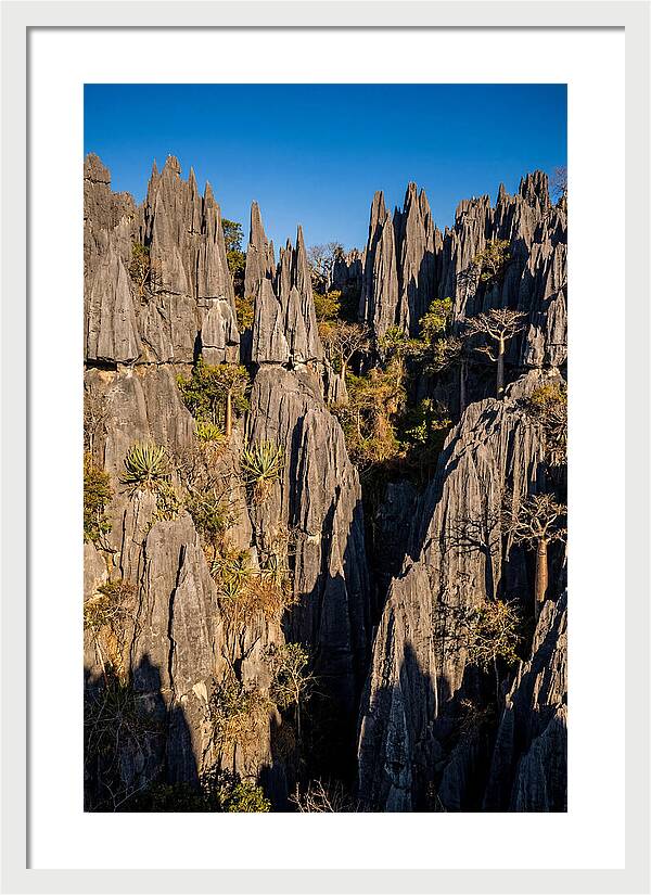 Tsingy De Bemaraha Pinnacles