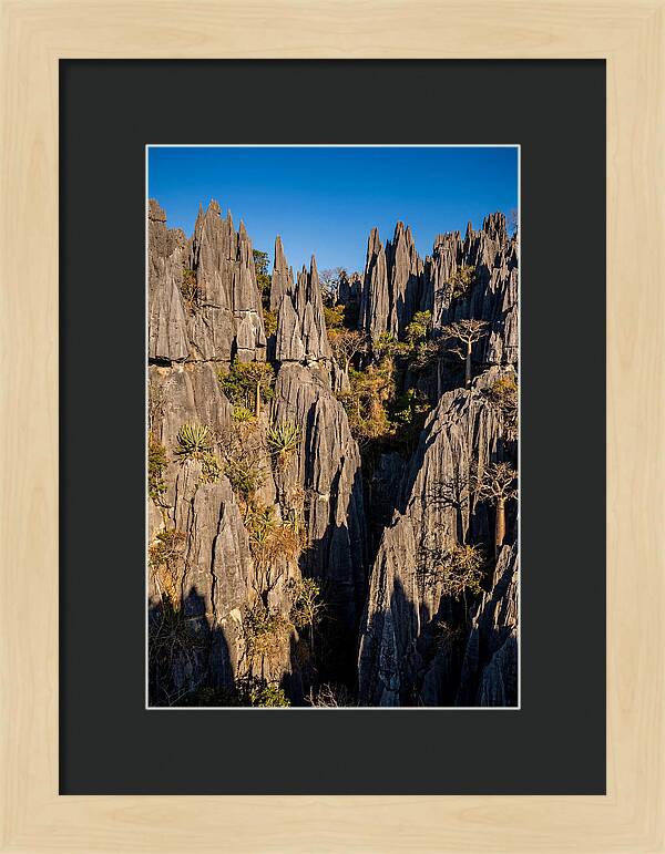 Tsingy De Bemaraha Pinnacles