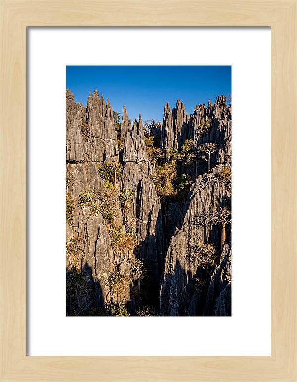 Tsingy De Bemaraha Pinnacles