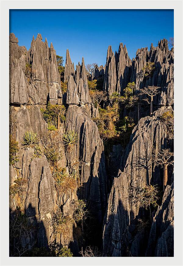Tsingy De Bemaraha Pinnacles