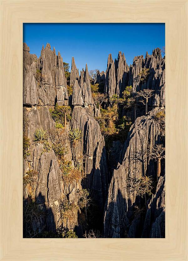 Tsingy De Bemaraha Pinnacles