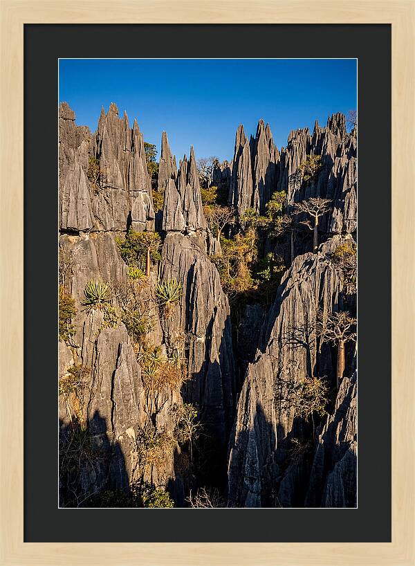 Tsingy De Bemaraha Pinnacles