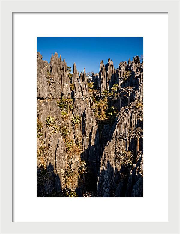 Tsingy De Bemaraha Pinnacles