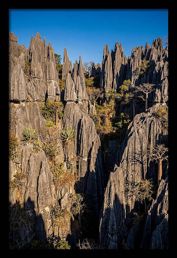 Tsingy De Bemaraha Pinnacles