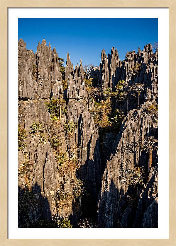 Tsingy De Bemaraha Pinnacles