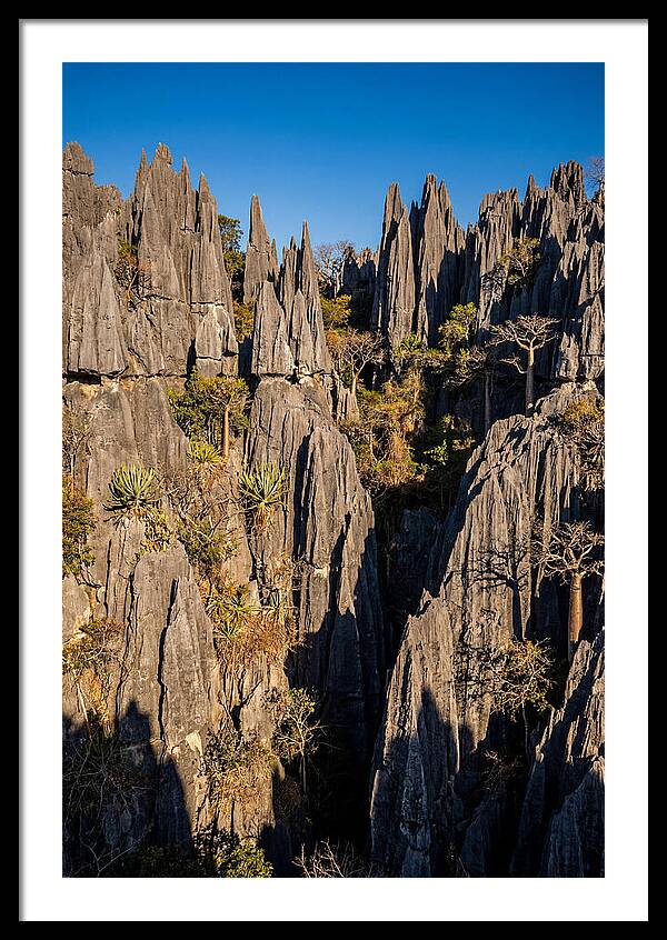 Tsingy De Bemaraha Pinnacles