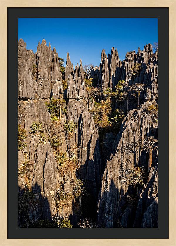 Tsingy De Bemaraha Pinnacles