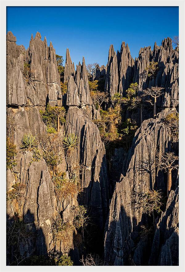 Tsingy De Bemaraha Pinnacles