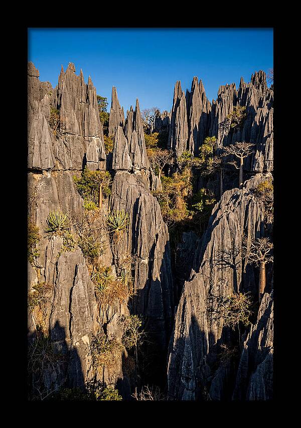 Tsingy De Bemaraha Pinnacles