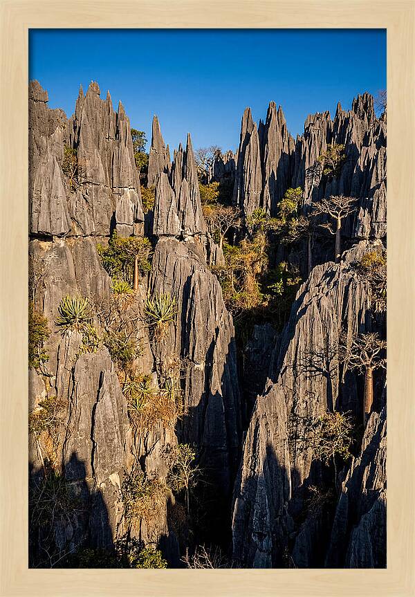 Tsingy De Bemaraha Pinnacles