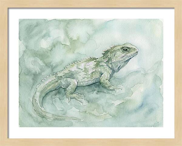 Tuatara In Serene Waterscape