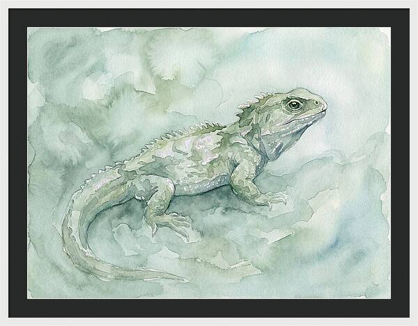 Tuatara In Serene Waterscape