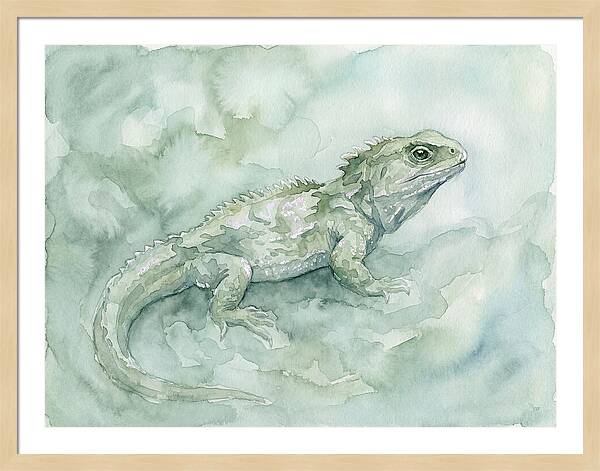 Tuatara In Serene Waterscape