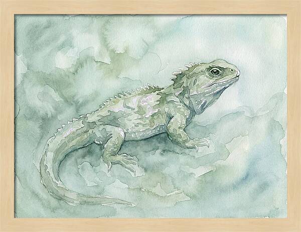 Tuatara In Serene Waterscape