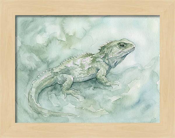 Tuatara In Serene Waterscape