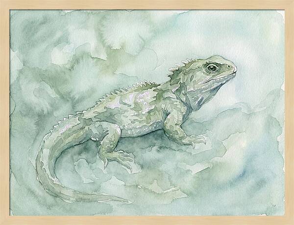 Tuatara In Serene Waterscape