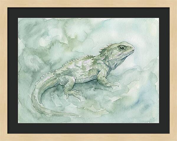 Tuatara In Serene Waterscape