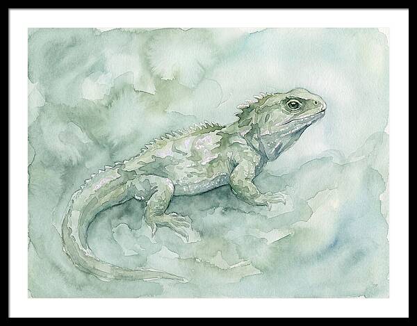 Tuatara In Serene Waterscape
