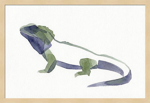 Tuatara In Watercolor Style