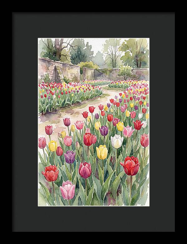 Tulip Bloom Tranquility