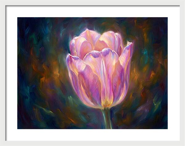 Tulip Blossom