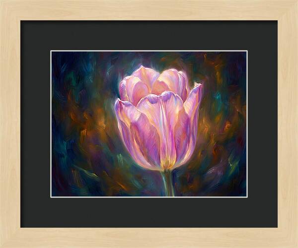 Tulip Blossom