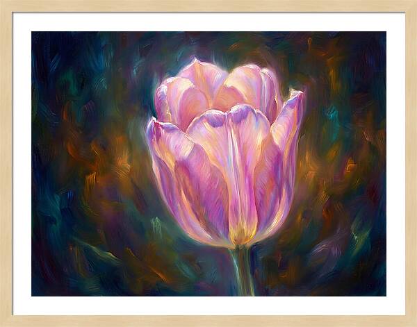 Tulip Blossom