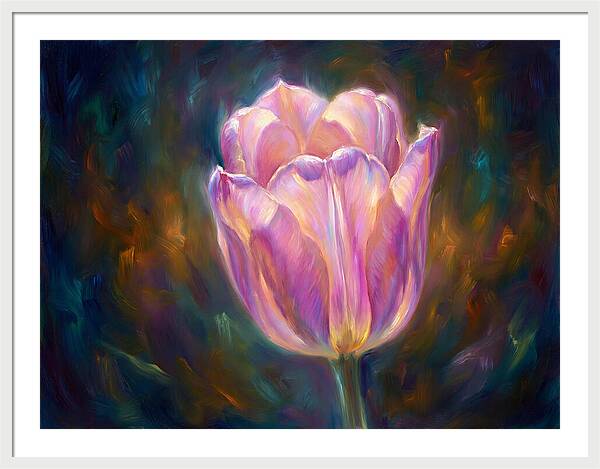 Tulip Blossom