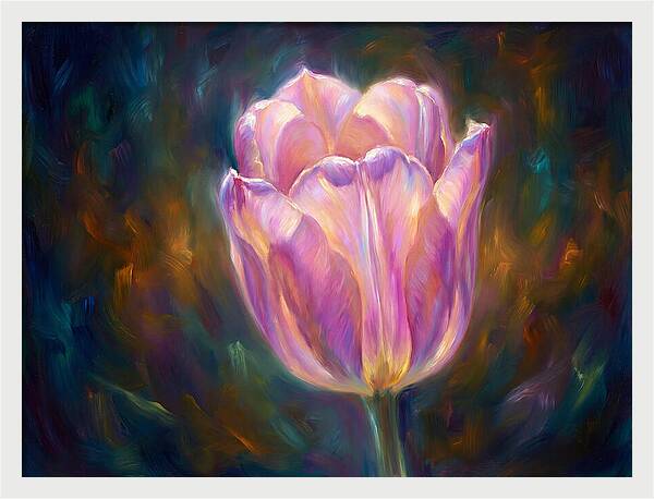 Tulip Blossom