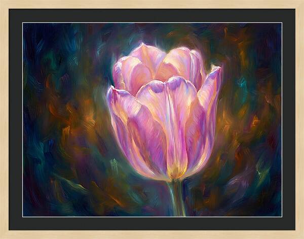 Tulip Blossom
