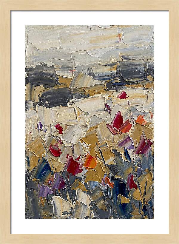 Tulip Field In Bloom