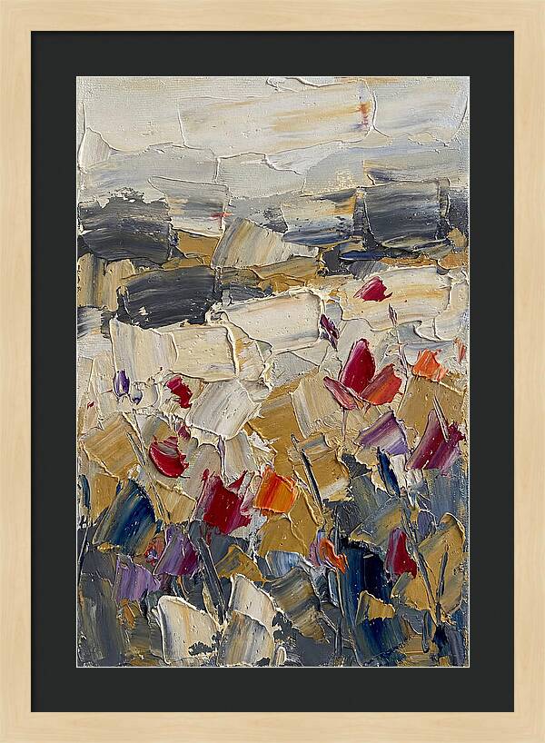 Tulip Field In Bloom