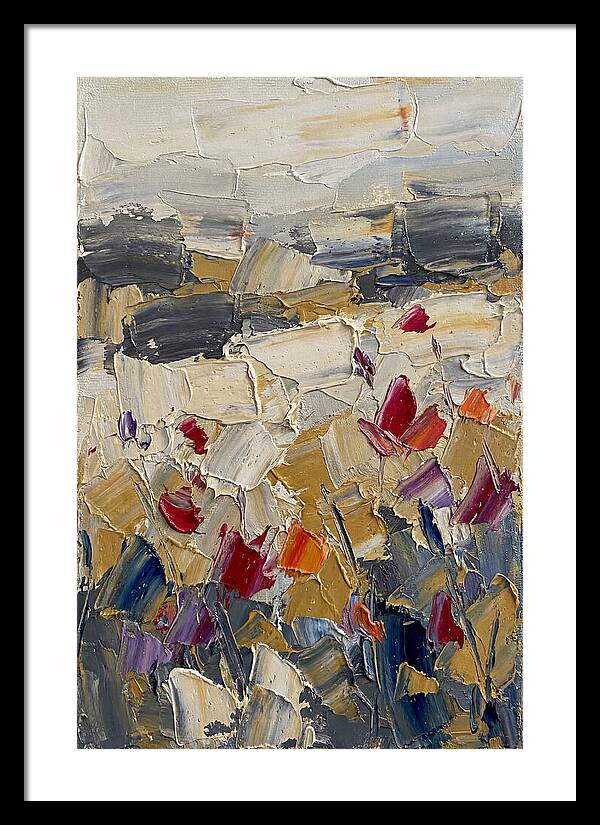 Tulip Field In Bloom