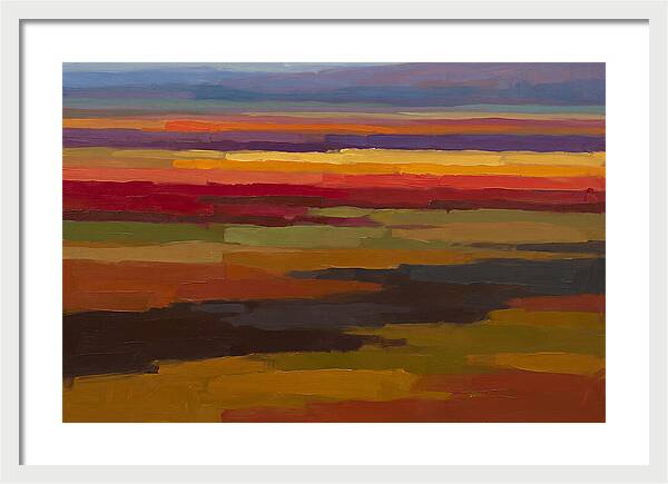 Tulip Field Stripes In Bright Colors