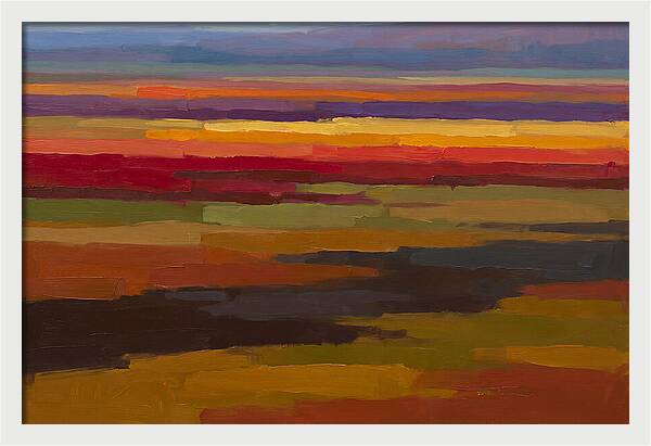 Tulip Field Stripes In Bright Colors