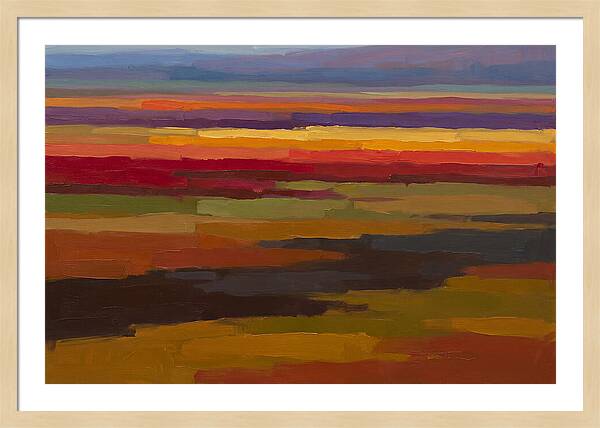 Tulip Field Stripes In Bright Colors